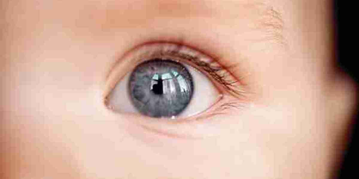 Global New Born Eye Imaging Systems Market Size, Share, and Growth Report 2030