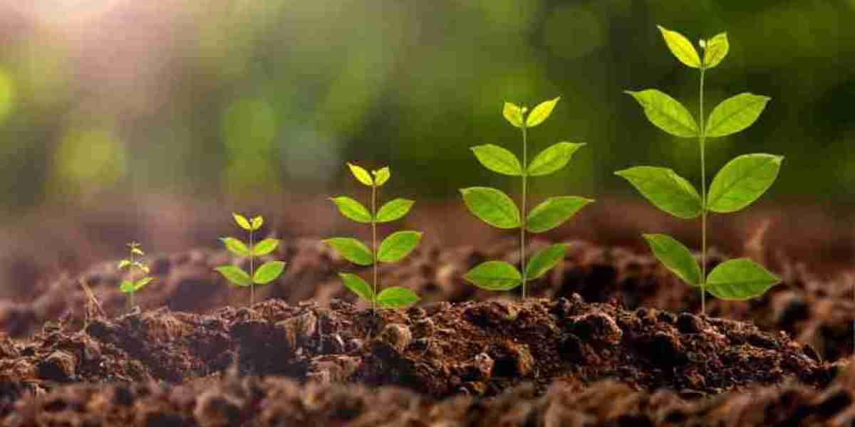 Plant Growth Regulators Market To Register A Healthy CAGR For The Forecast Period To 2030