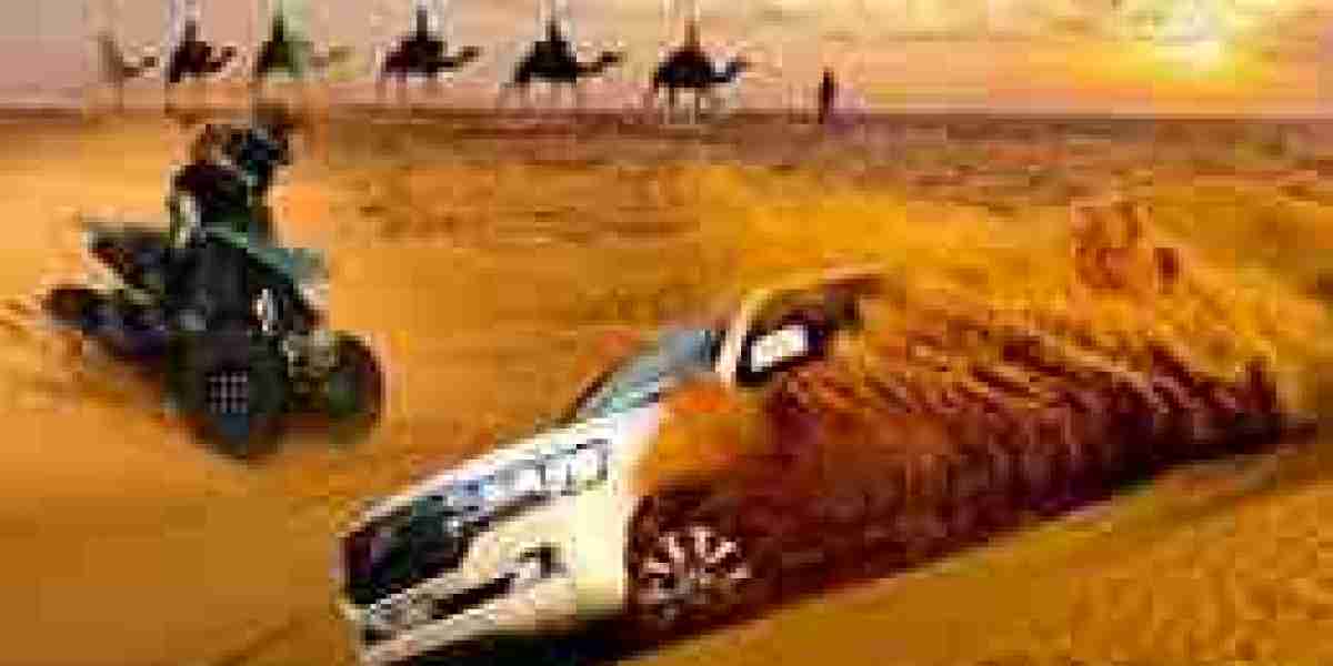 Unleash Your Spirit of Discovery: Book Your Dubai Desert Safari