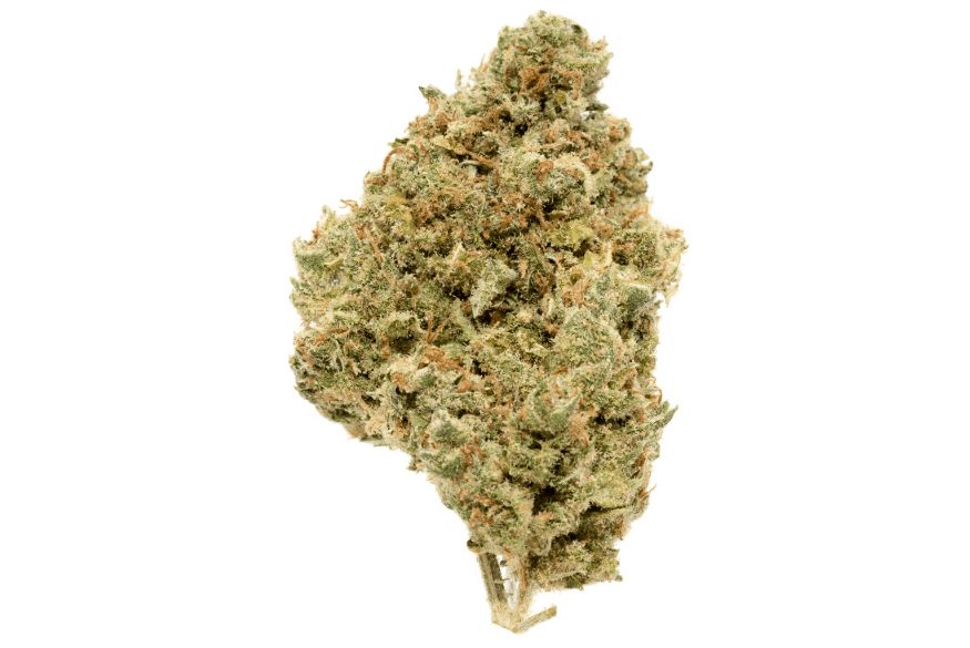 The Top 5 Cannabis Sativa Strains From Our Online Dispensary