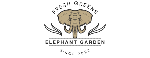 Buy Weed Online Canada - Elephant Garden Cannabis Dispensary