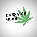 Cannabis Guide Profile Picture