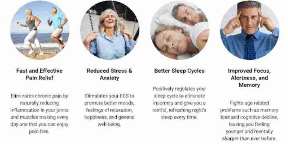 Thera Calm CBD Gummies Best CBD For Pain Relief and Anxiety, Better Sleep