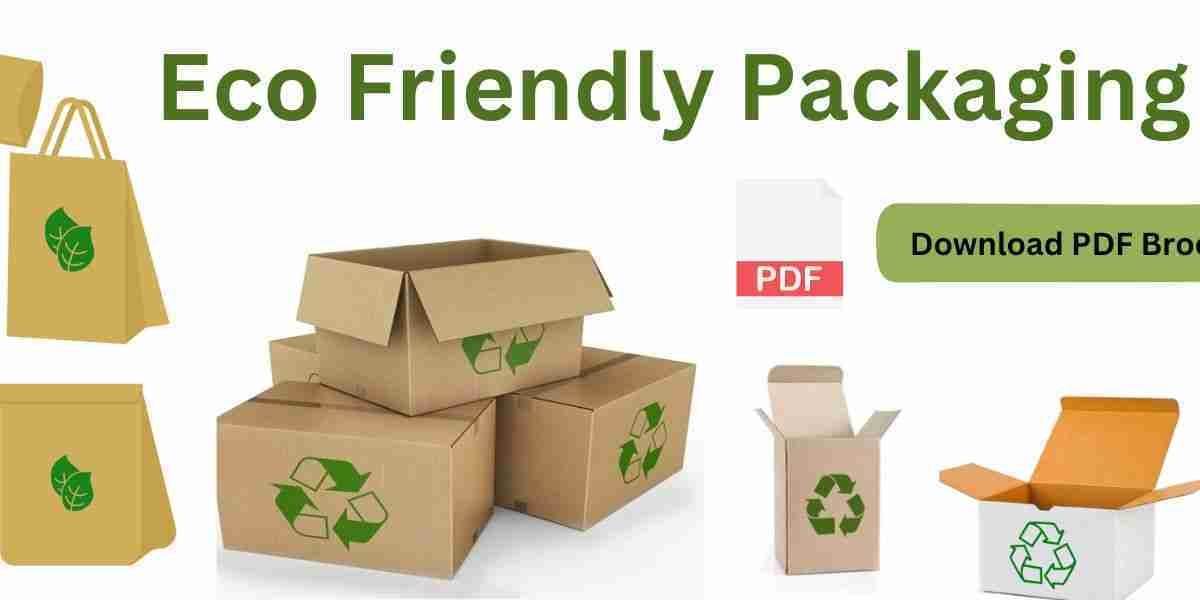 Eco-Friendly Packaging Market Research: Green Insights and Analysis